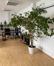 Versicherungen & Finanzierung Fürth  Gracjan Sojka  FrankenVersichert.de Bild 14