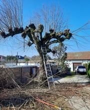 LML Jardin, Ferizi Bild 3