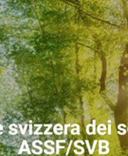 Onoranze Funebri Locatelli Sagl Bild 6