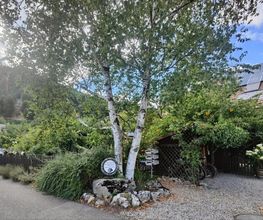 NaturImpuls Gesundheitspraxis Bild 5