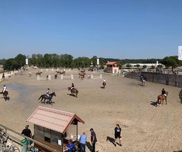 Arradon Equitation image 1