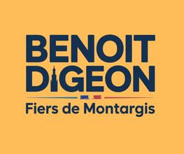 Fiers de Montargis image 6