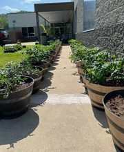 Veltex Recovery Group image 14