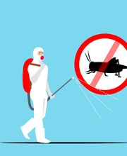 Schädlingsbekämpfung Mittelbaden Bild 4