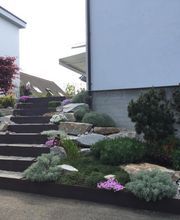 Gärtner Basel & Baselland