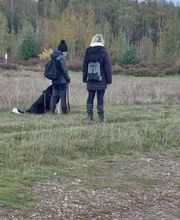 natural.dogs. Bild 10