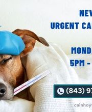 Cainhoy Veterinary Hospital image 15