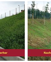 DLS Lehmann GmbH - Winterdienst Bild 6