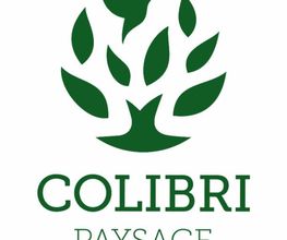 COLIBRI PAYSAGE image 1