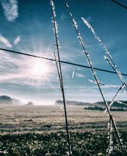 Harry Fichtner Fotostudio Bild 3