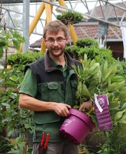 Gartenbaumschule Maiwald Bild 2