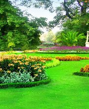 Keller Gartengestaltung + Gartenpflege GmbH Bild 3