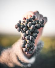 Paul Dangin Et Fils image 6