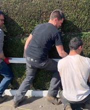 Christophe Espaces Verts image 16