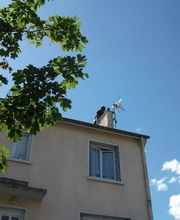 Stop Guêpes 02 image 3