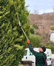 WhatsApp Image 2026-01-31 at 19.27.39 (3).jpeg