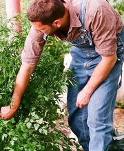 MC Facility Services GmbH Bild 6