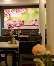 Café Nordend Bild 7