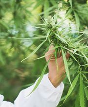 Robert-Koch-Apotheke Bild 1