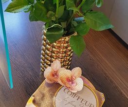 Coiffeur la fleur d'or Bild 3
