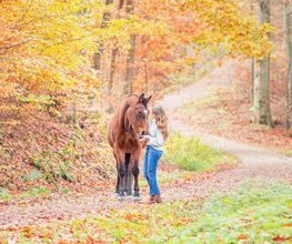 Tierfotografie Susanne Elendt Bild 2
