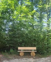 FriedWald Starzach Bild 1