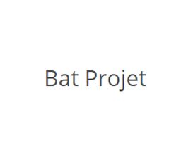 Bat Projet image 1