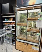 Tom&Co Hautmont - Louvroil image 11