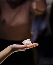 HONGXI  TAPAS Zurich Bild 8