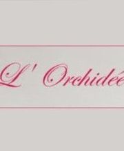 L'Orchidée image 10
