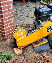 Der Gartenpionier Bild 7