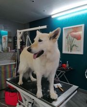 Paula Toutou Mobile image 9