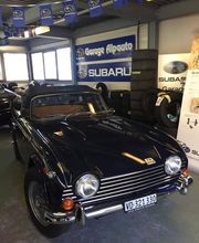 Alpauto Bild 4