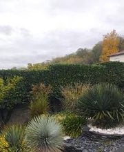 Daniel Moquet signe vos jardins - Ent. Harmony Paysage image 2