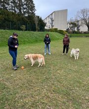 Dog & Picture image 3