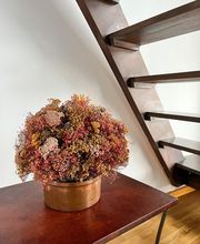 Hotel Servilia imagen 18