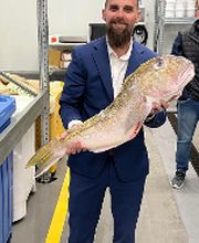 Carroll's Wildlife Taxidermy image 19