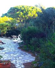 Century 21 Thomas Thum Immobilier image 7