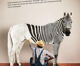 Severin Borer AG Bild 4