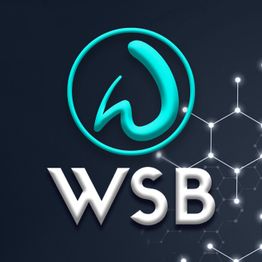 WSB-Weintraub Smart Buildings Gmbh