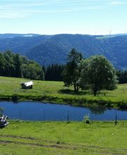Ferienparadies Althäuslehof Bild 4