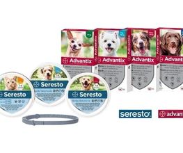 serestoAdvantix1.jpg