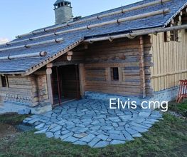 ELVIS CMG image 8