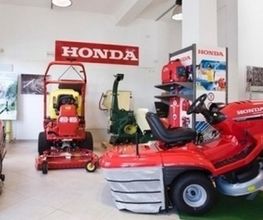 Gallery Cliente