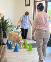 COTA Veterinary image 2