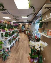 Fleurs de Lys de Beaugency image 2