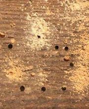 Garbi Aragón imagen 5