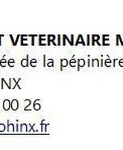 Charlotte Prospero Vétérinaire image 1