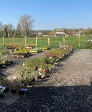 Dessapt Horticulture image 4