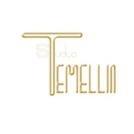 Studio Temellin Commercialisti logo